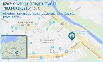 OŚRODEK REHABILITACJI DZIENNEJ DLA DZIECI - NZOZ CENTRUM REHABILITACJI "NEUROKINEZIS" S.C. - ALEJE JÓZEFA PIŁSUDSKIEGO 20,  NOWY SĄCZ